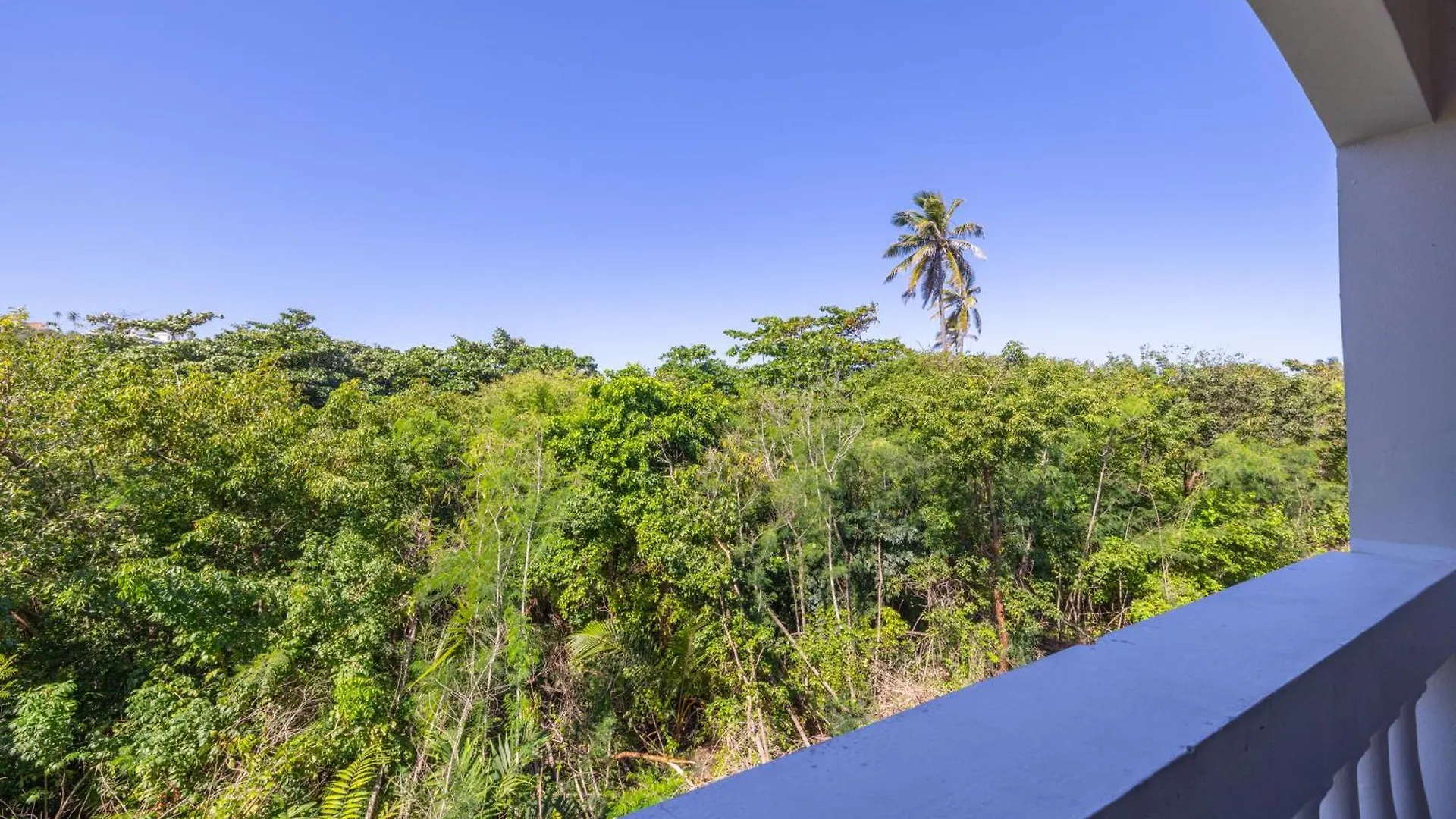 Golden Villas 306 Studio Isabela 0*,